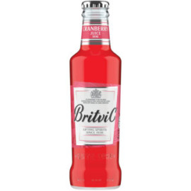 Britvic Cranberry Juice 24x200ml Bottle 1