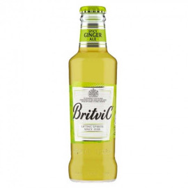 Britvic Ginger Ale 24x200ml Bottle 1