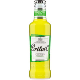 Britvic Pineapple Juice 24x200ml Bottle 1